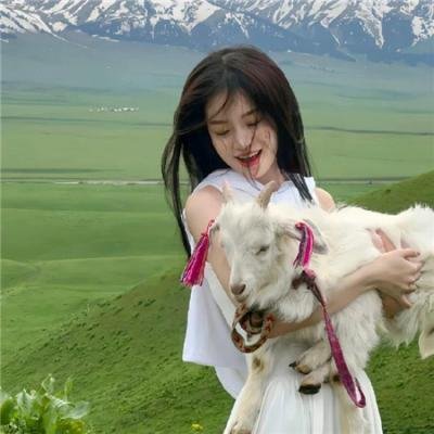 惹不起的宫主大人